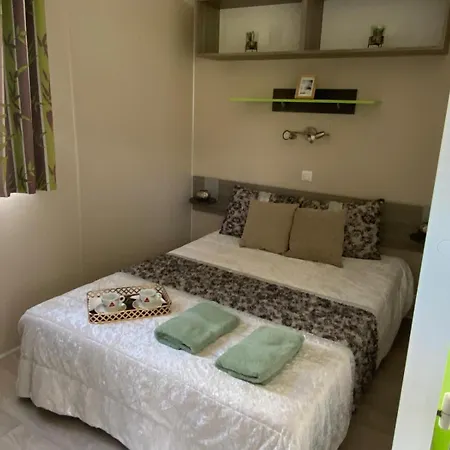 Rui Faria Felgueiras