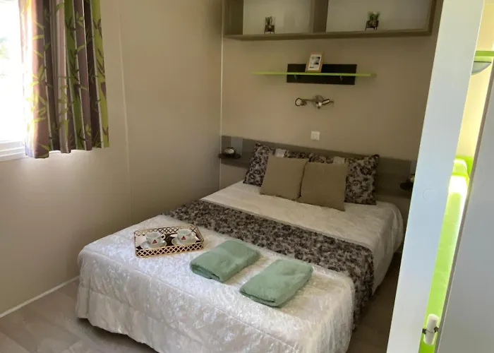 Rui Faria 费尔格拉斯